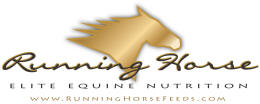 Running Horse